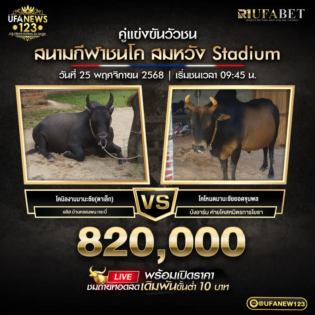 โคนิลงามมานะชัย(ตาเล็ก) VS โคโหนดมานะชัยยอดขุนพล ชิงรางวัล 820,000 บาท 25 พฤศจิกายน 2568
