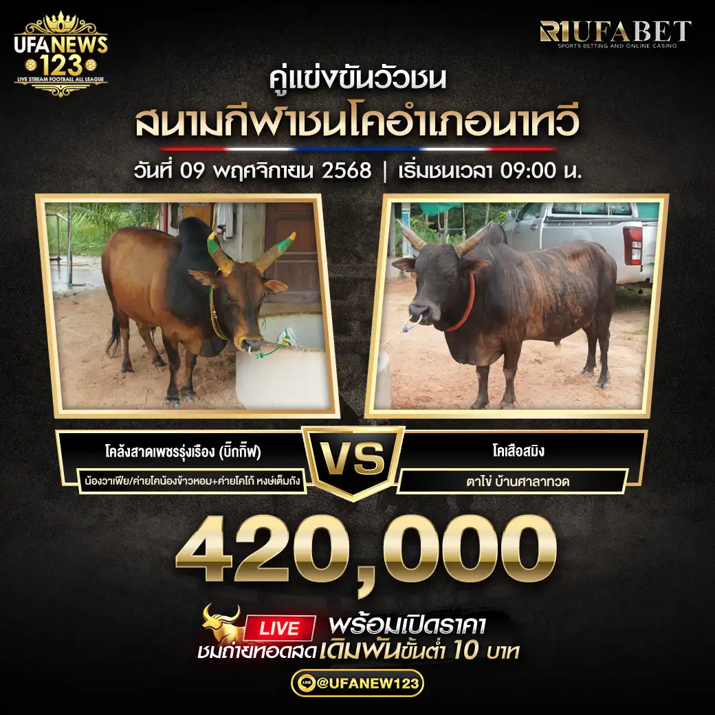 โคลังสาดเพชรรุ่งเรือง (บิ๊กกิ๊ฟ) VS โคเสือสมิง ชิงรางวัล 420,000 บาท