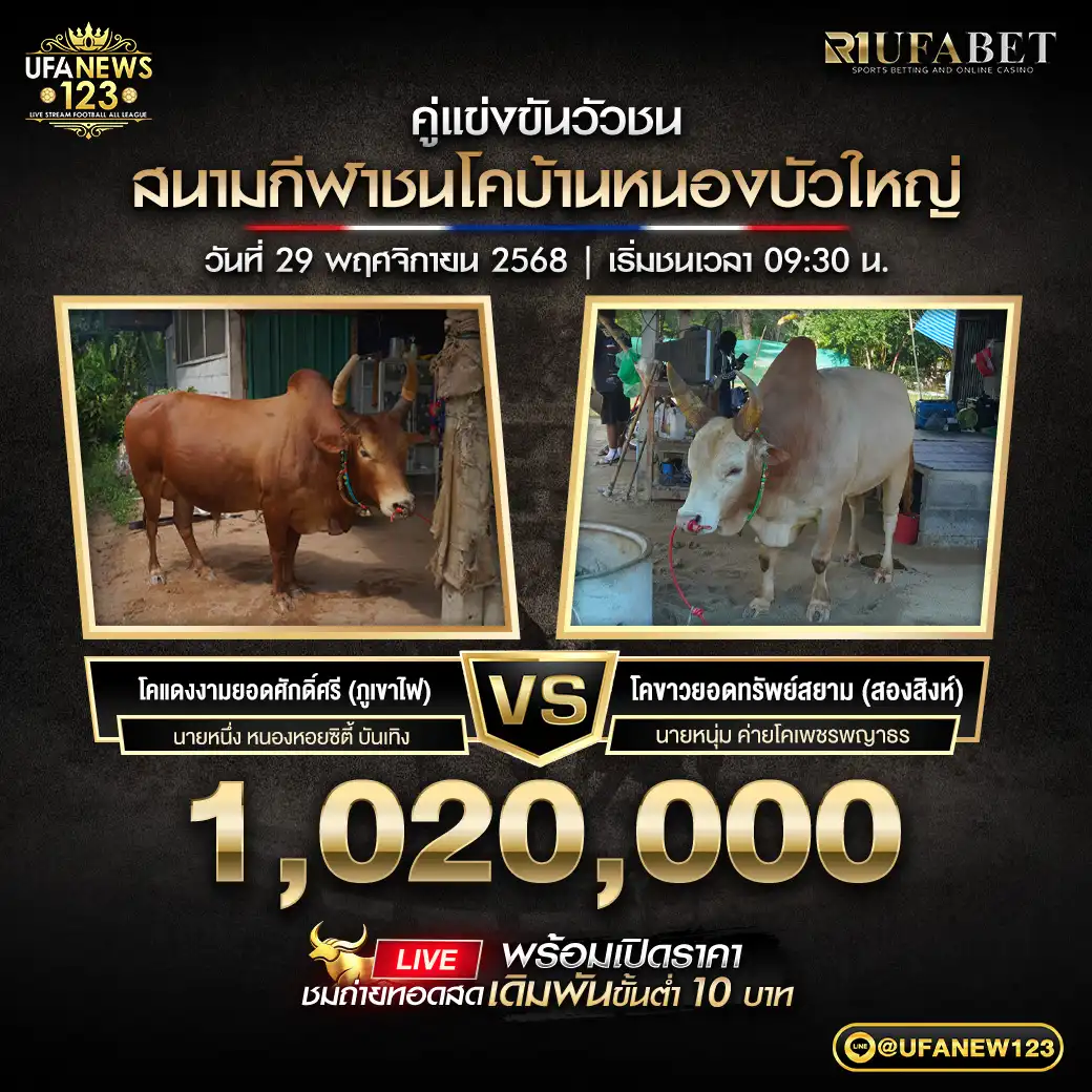 โคแดงงามยอดศักดิ์ศรี (ภูเขาไฟ) VS โคขาวยอดทรัพย์สยาม (สองสิงห์) ชิงรางวัล 1,020,000 บาท 29 พฤศจิกายน 2568 