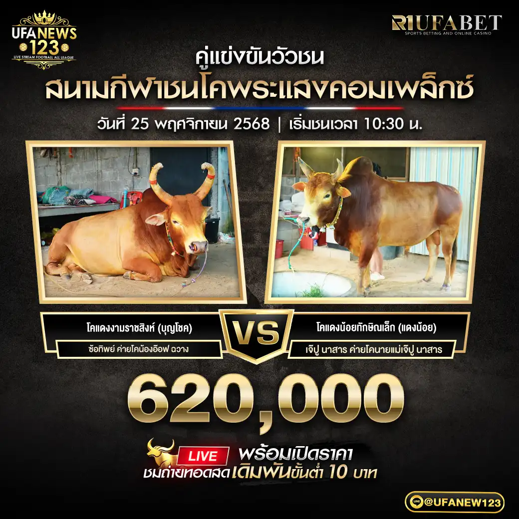 โคแดงงามราชสิงห์ (บุญโชค) VS โคแดงน้อยทักษิณเล็ก (แดงน้อย) ชิงรางวัล 620,000 บาท 25 พฤศจิกายน 2568