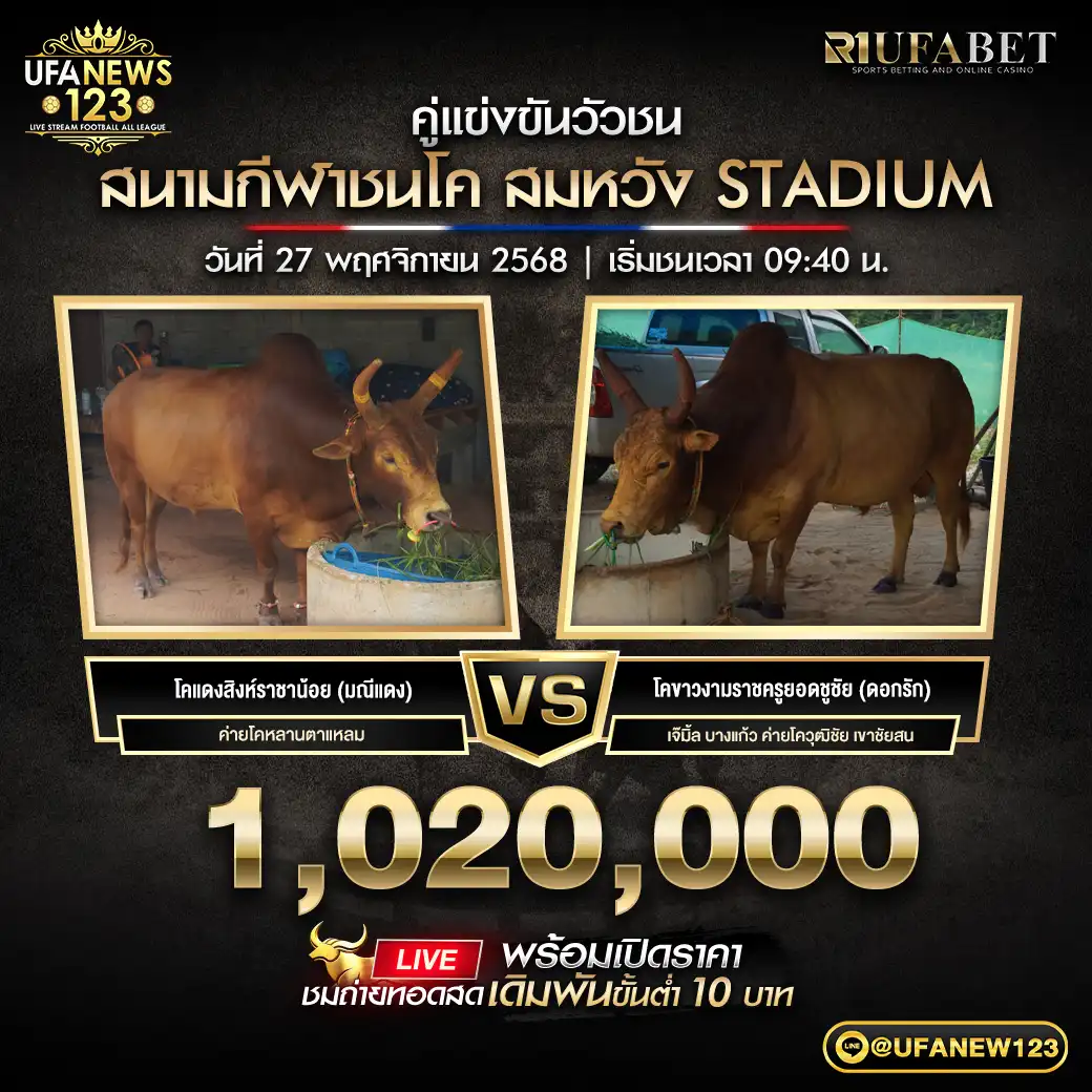 โคแดงสิงห์ราชาน้อย (มณีแดง) VS โคขาวงามราชครูยอดชูชัย (ดอกรัก) ชิงรางวัล 1,020,000 บาท 27 พฤศจิกายน 2568 