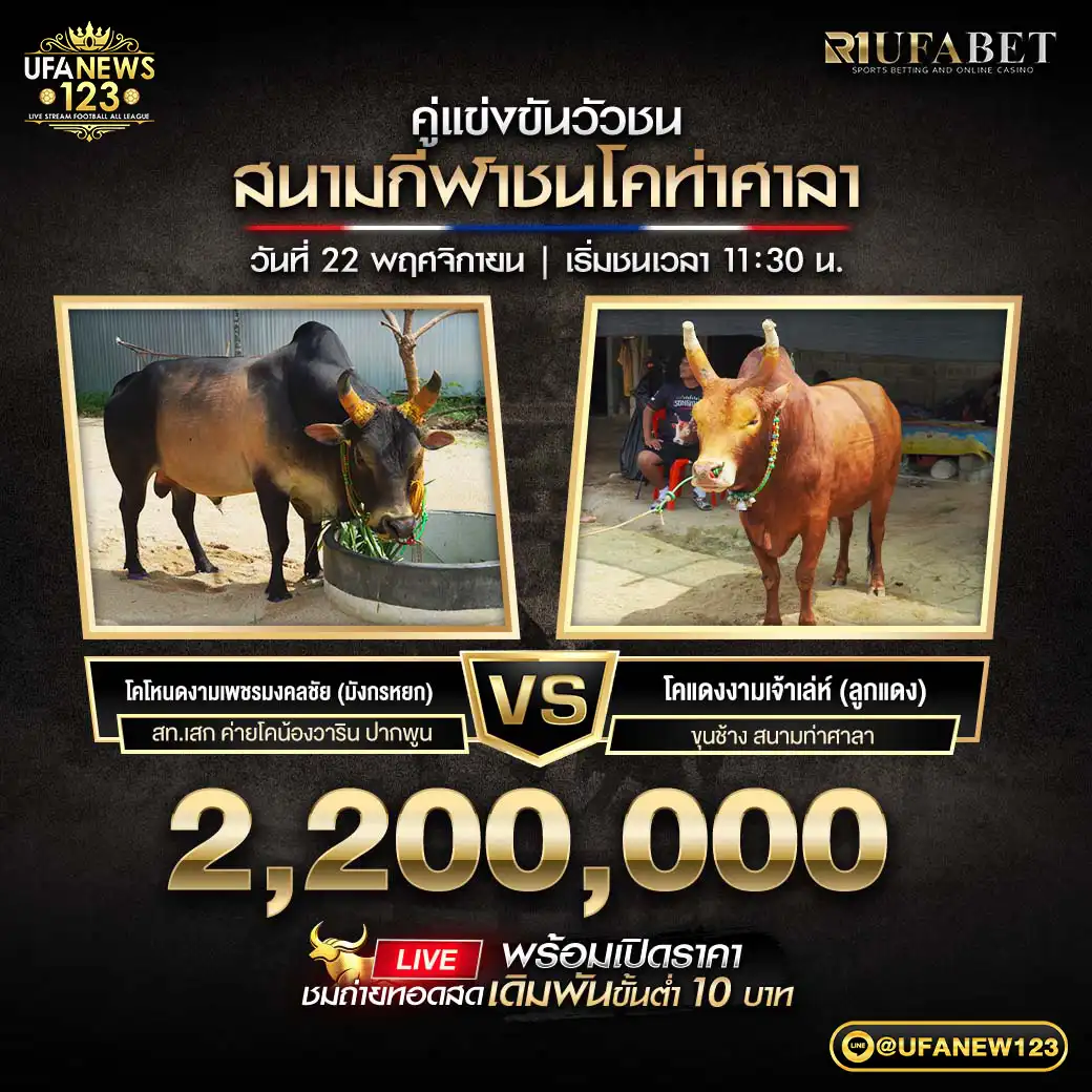 โคโหนดงามเพชรมงคลชัย (มังกรหยก) VS โคแดงงามเจ้าเล่ห์ (ลูกแดง) ชิงรางวัล 2,200,000 บาท 22 พฤศจิกายน 2568