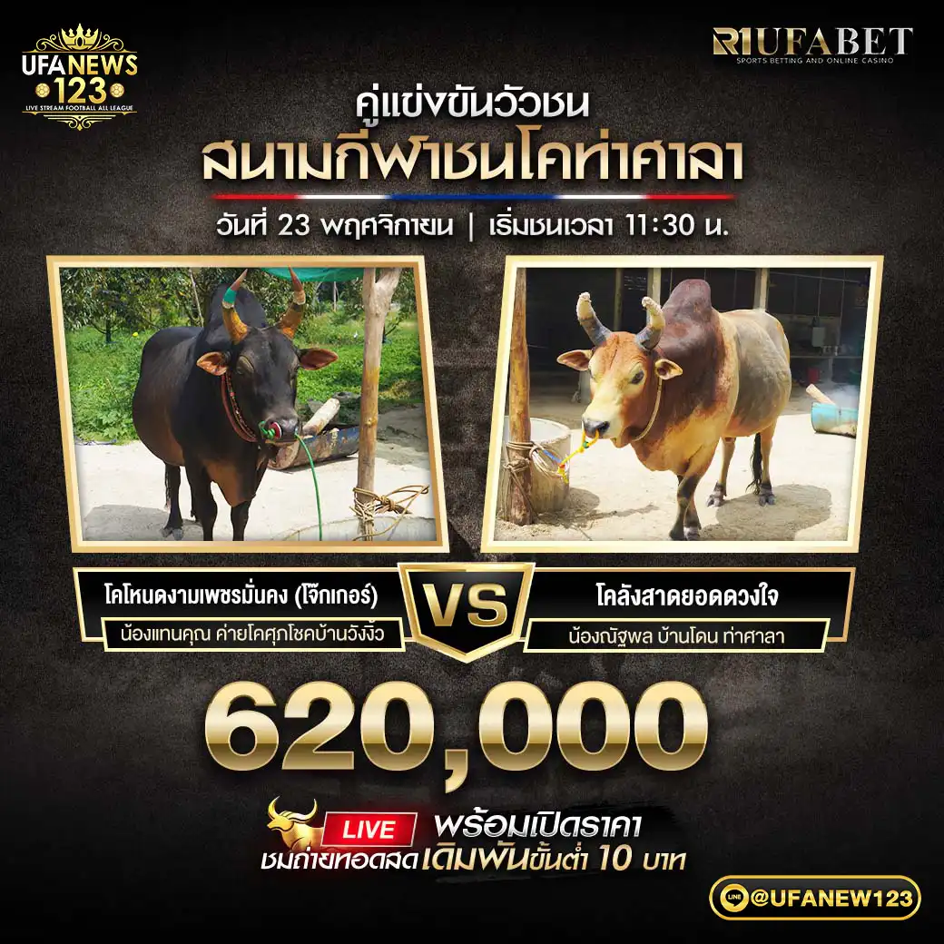 โคโหนดงามเพชรมั่นคง (โจ๊กเกอร์) VS โคลังสาดยอดดวงใจ ชิงรางวัล 620,000 บาท 23 พฤศจิกายน 2568 