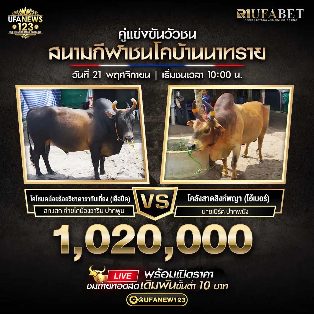 โคโหนดน้อยร้อยวิชาดาราทับเที่ยง (เสือปิด) VS โคลังสาดสิงห์พญา (ไอ้เบอร์) ชิงรางวัล 1,020,000 บาท 21 พฤศจิกายน 2568