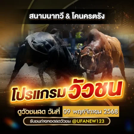 โปรแกรมวัวชน 09 พฤศจิกายน 2568