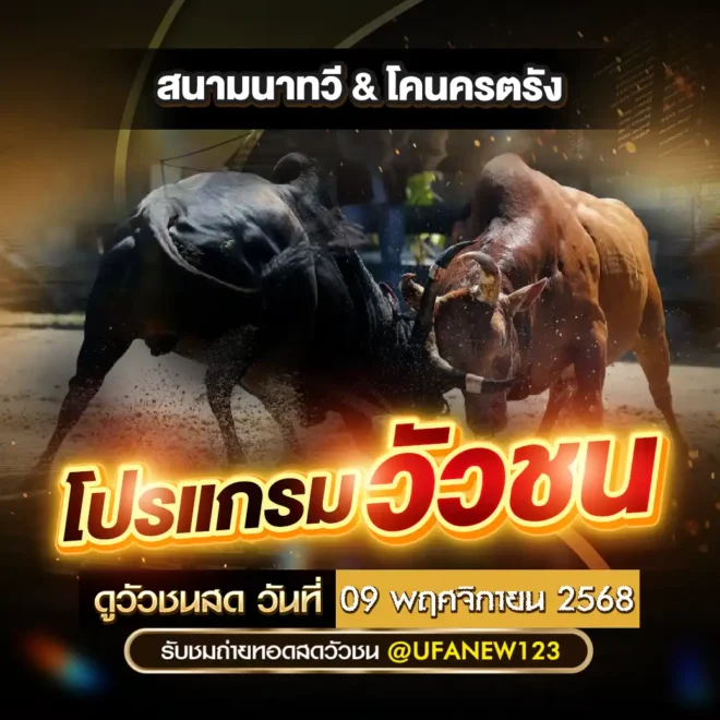 โปรแกรมวัวชน 09 พฤศจิกายน 2568