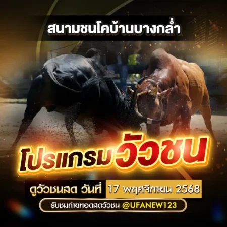 โปรแกรมวัวชน 17 พฤศจิกายน 2568
