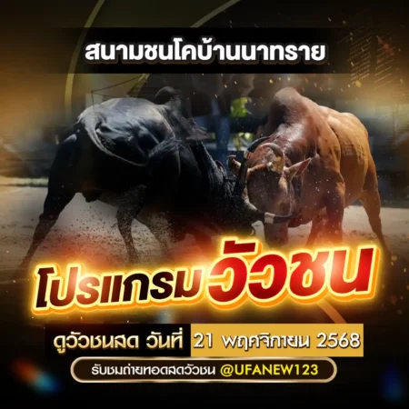 โปรแกรมวัวชน 21 พฤศจิกายน 2568