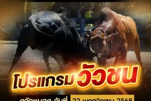 โปรแกรมวัวชน 22 พฤศจิกายน 2568