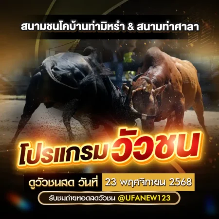 โปรแกรมวัวชน 23 พฤศจิกายน 2568