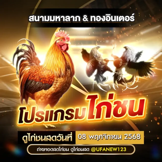 โปรแกรมไก่ชน 08 พฤศจิกายน 2568