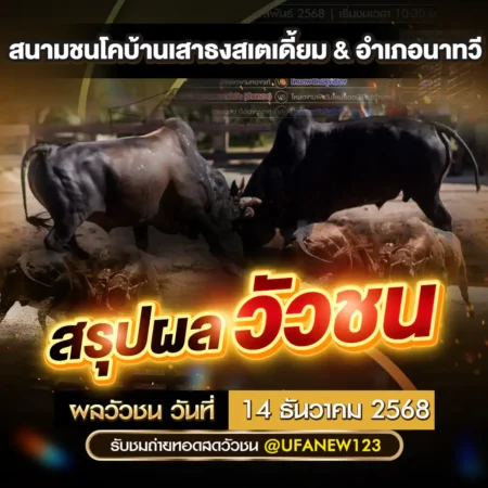 ผลวัวชน 14 ธันวาคม 2568