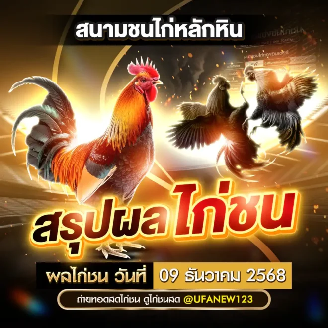 ผลไก่ชน 09 ธันวาคม 2025