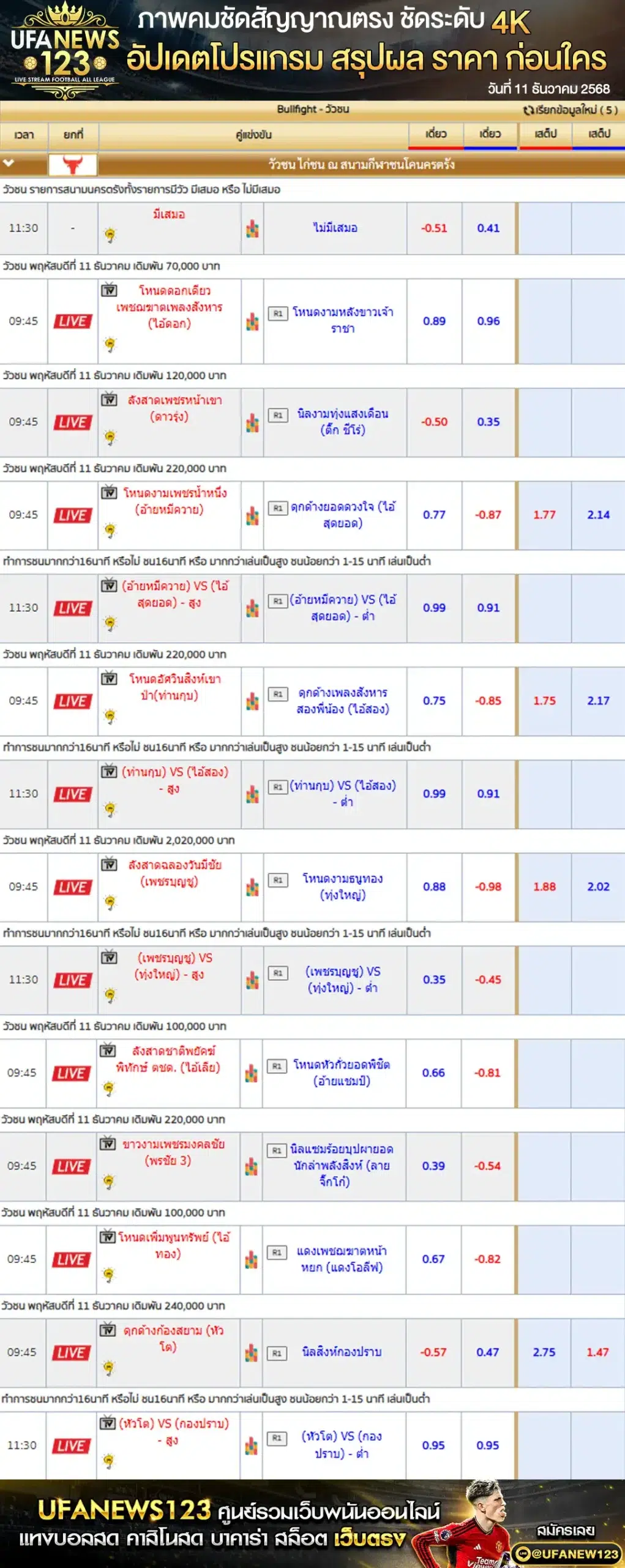 📍 ราคาวัวชนประจำวันที่ 11 ธันวาคม 2568 | สนามกีฬาชนโคนครตรัง เริ่มเวลา 09:45 น.