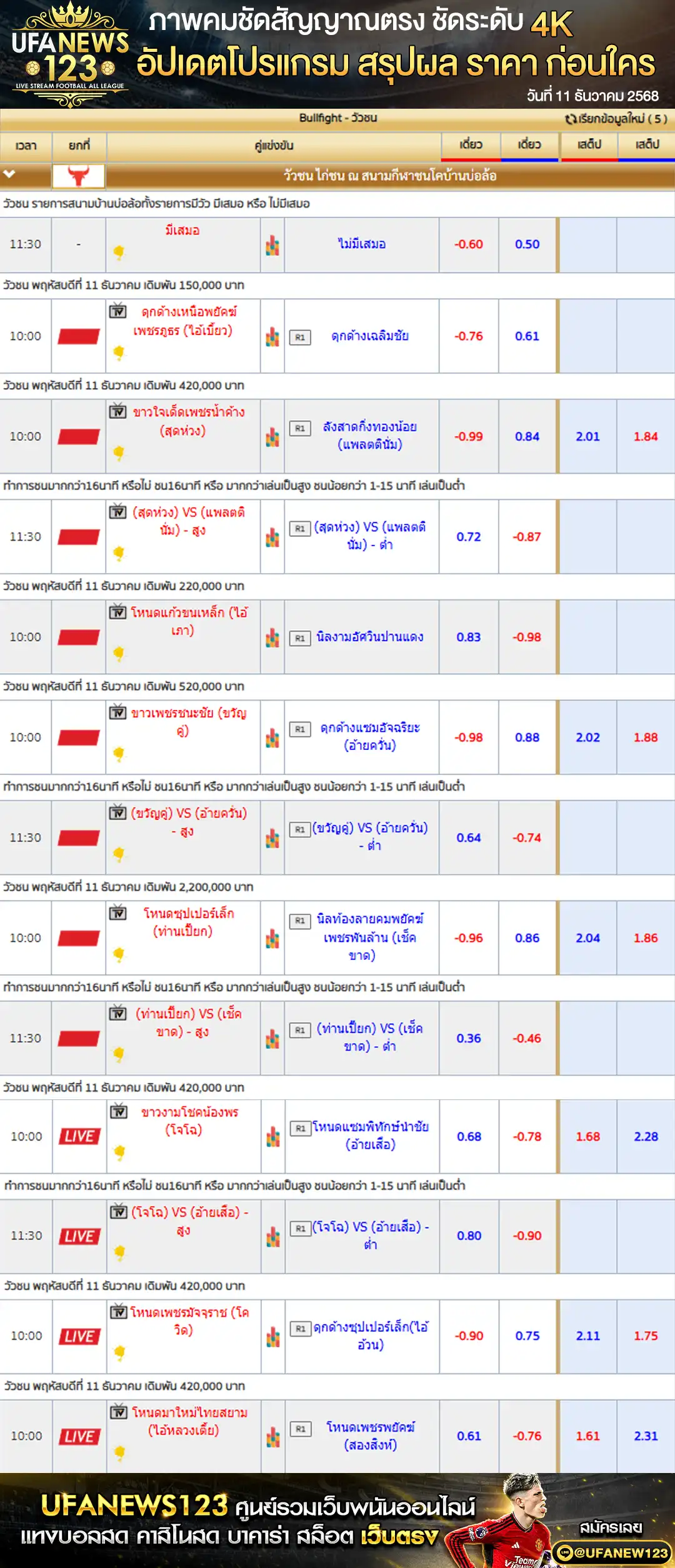 📍 ราคาวัวชนประจำวันที่ 11 ธันวาคม 2568 | สนามกีฬาชนโคบ้านบ่อล้อ เริ่มเวลา 09:30 น.