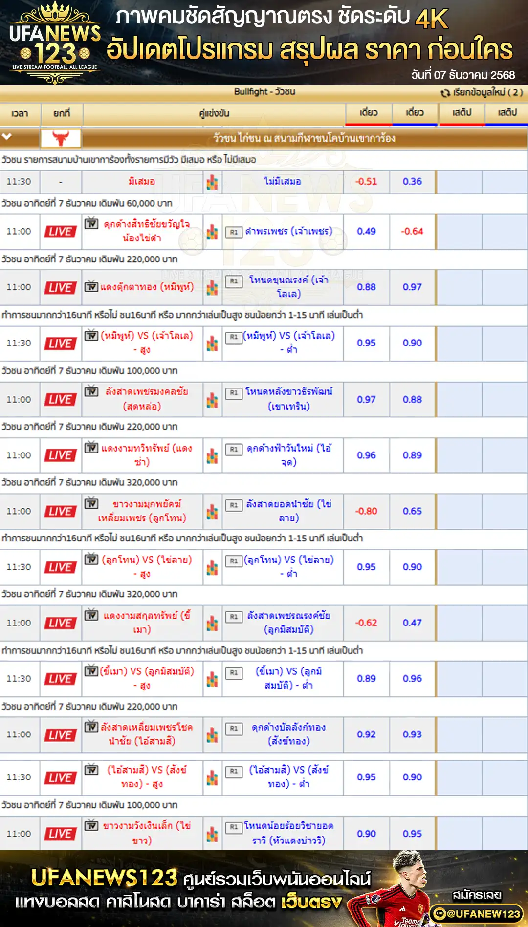 รายการราคาวัวชนประจำวันที่ 07 ธันวาคม 2568 | สนามชนโคบ้านเขาการ้อง เริ่มเวลา 11:30 น.