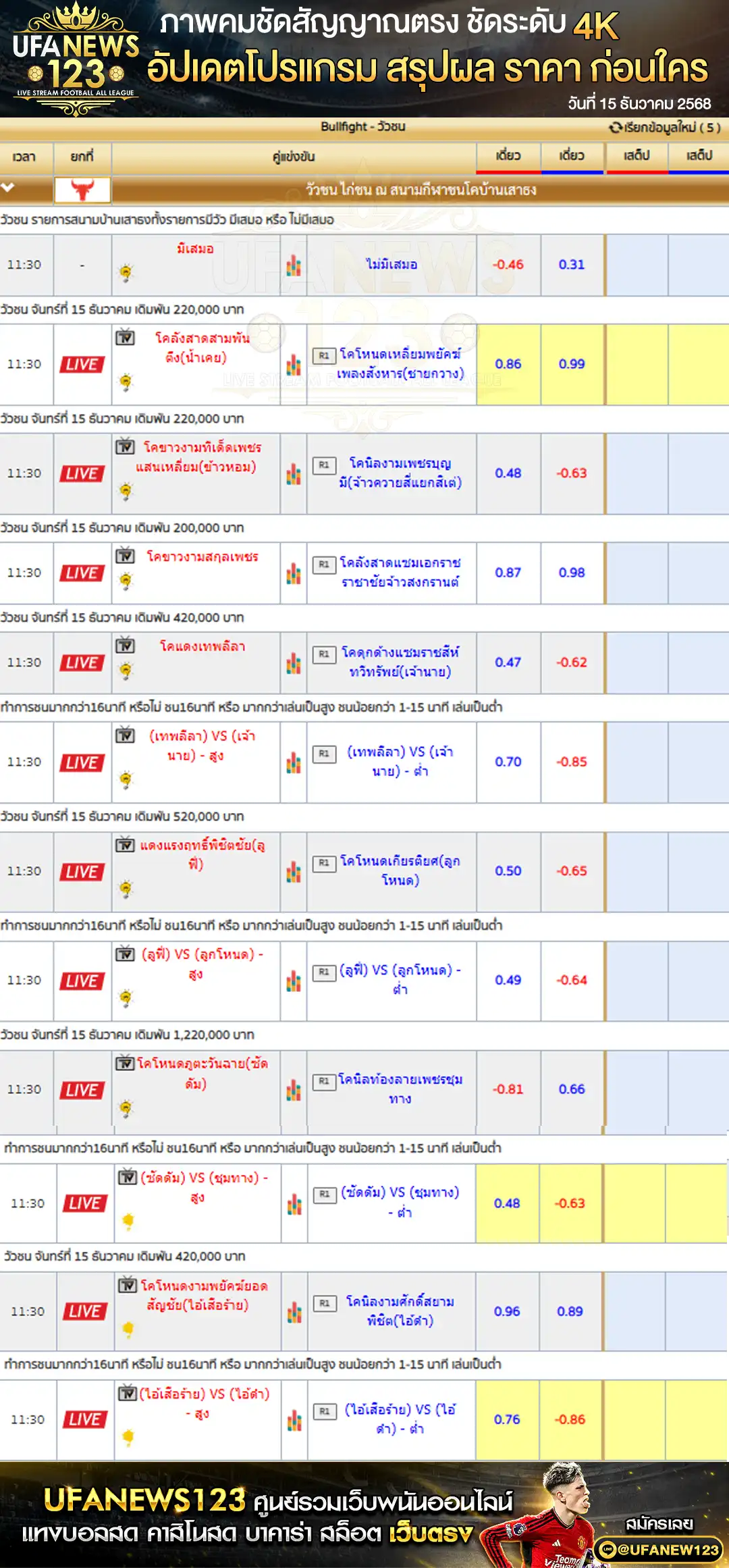 รายการคู่ชนและราคาวัวชน 15 ธันวาคม 2568 | สนามกีฬาชนโคบ้านเสาธงสเตเดี้ยม เริ่มเวลา 10:00 น.