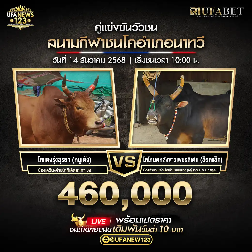 โคแดงรุ่งสุริยา (หมูเด้ง) VS โคโหนดหลังขาวเพชรดีเด่น (ล็อคแล็ค) ชิงรางวัล 460,000 บาท 14 ธันวาคม 2568