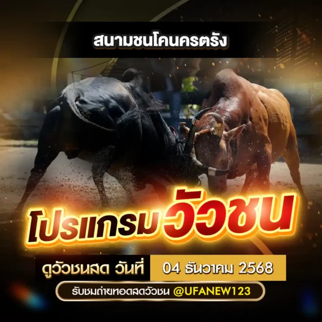โปรแกรมวัวชน 04 ธันวาคม 2568