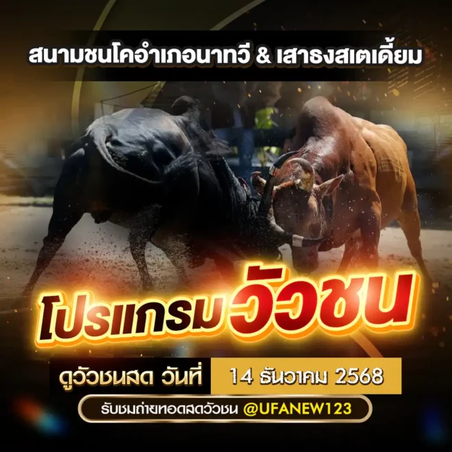 โปรแกรมวัวชน 14 ธันวาคม 2568